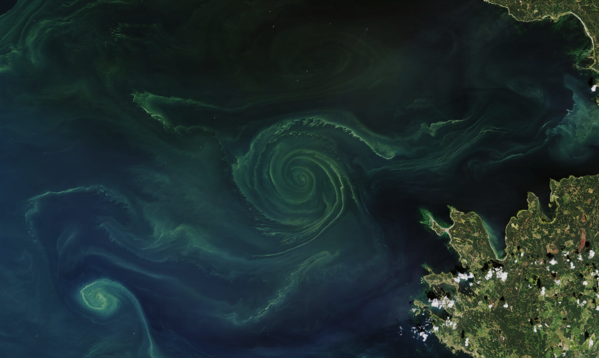 Virkningene av klimaendringer på økosystemene i havet – og hvordan du kan bidra til å hjelpe