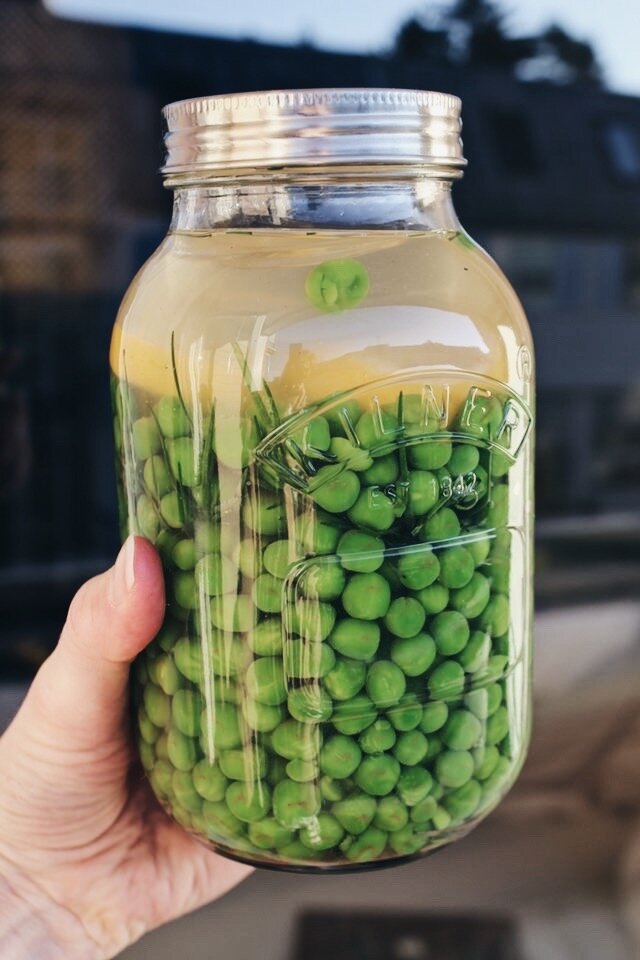 Fermenterte grønne erter og vegansk ertepålegg