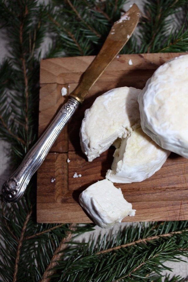 Slik lager du cashew camembert