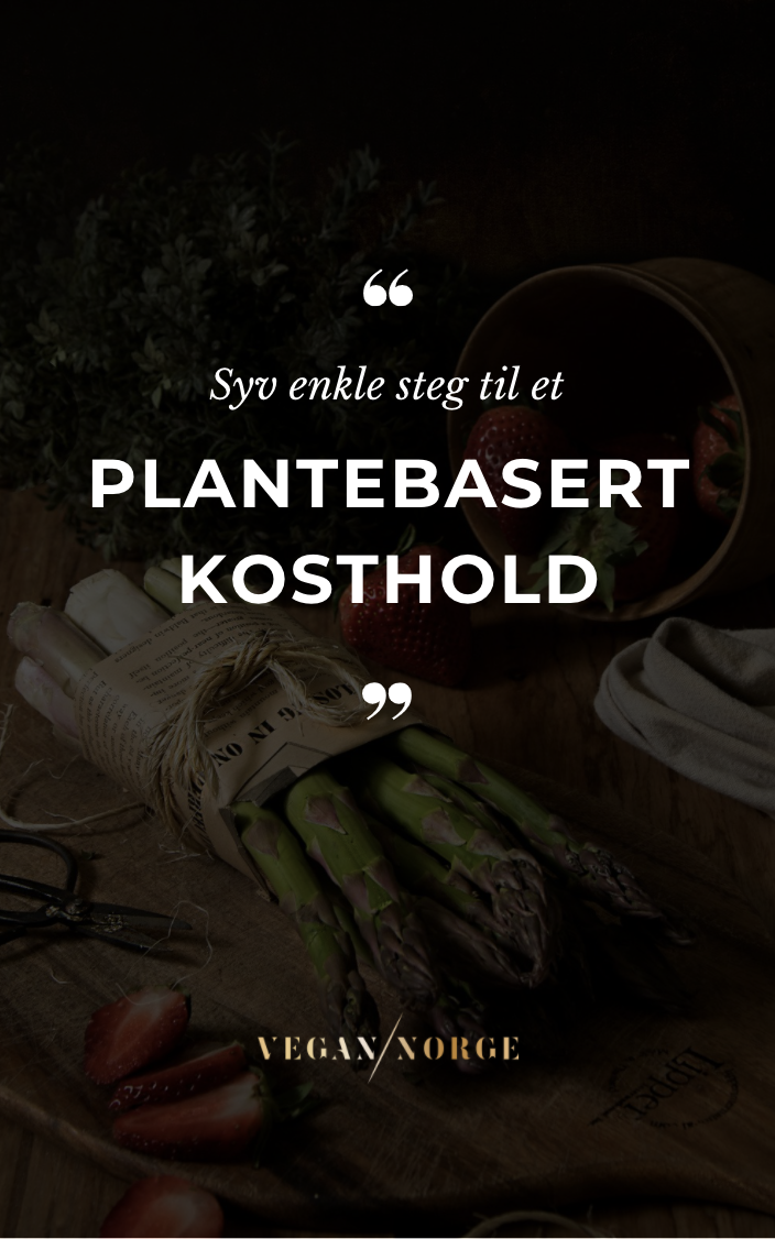 E-bok: Syv enkle steg til et plantebasert kosthold