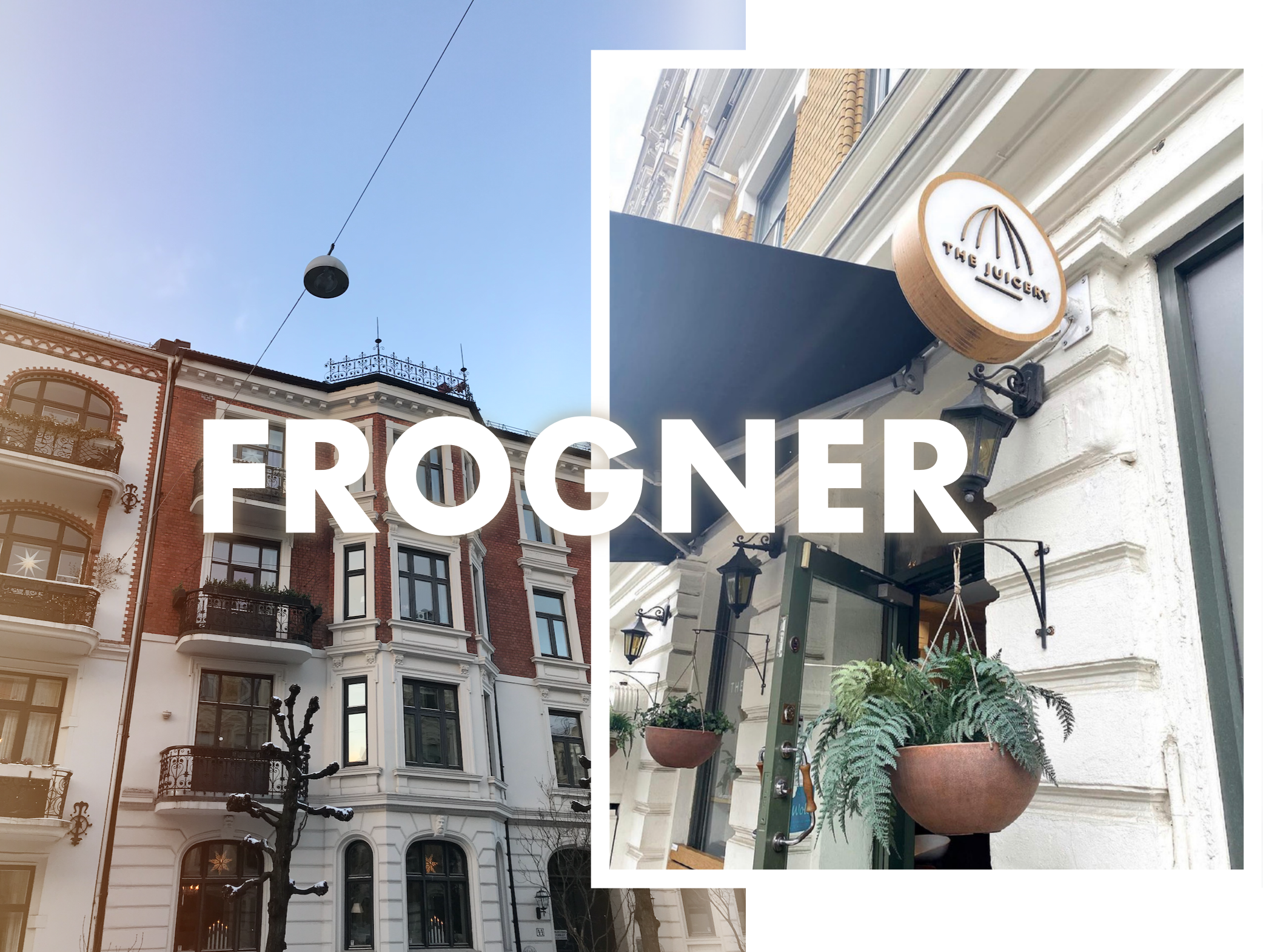 Vegansk guide til Frogner i Oslo